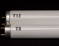 T12 and T8 Fluorescents