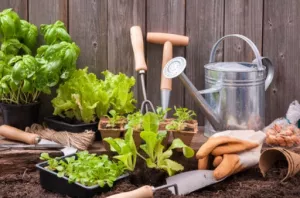 Gardening.png