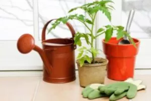 Seedling